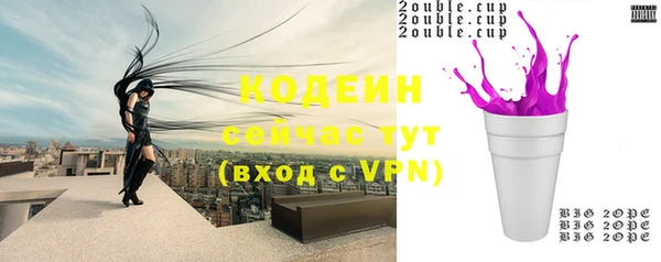 крисы Козельск